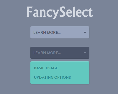 FancySelect  - 美化下拉框48