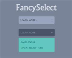 FancySelect  - 美化下拉框