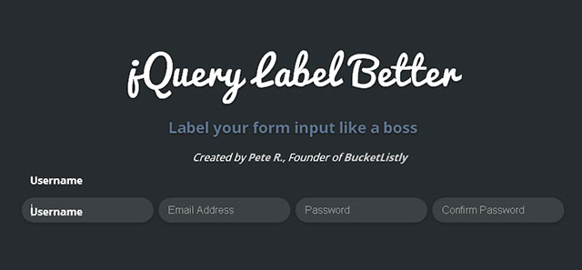 jQuery表单输入框字段提示信息动画插件jquery.label_better2975