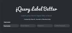 jQuery表单输入框字段提示信息动画插件jquery.label_better