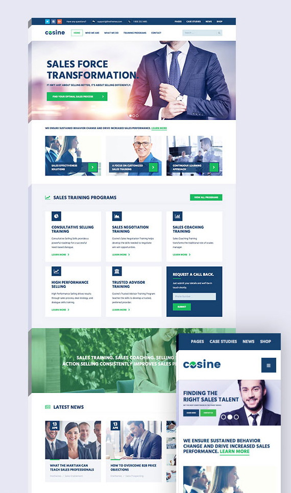 响应式培训指导业务网站模板_HTML5蓝色大气企业网站框架UI设计 - Cosine4859