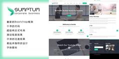 Bootstrap专业的企业网站HTML响应式模板|Sumptum