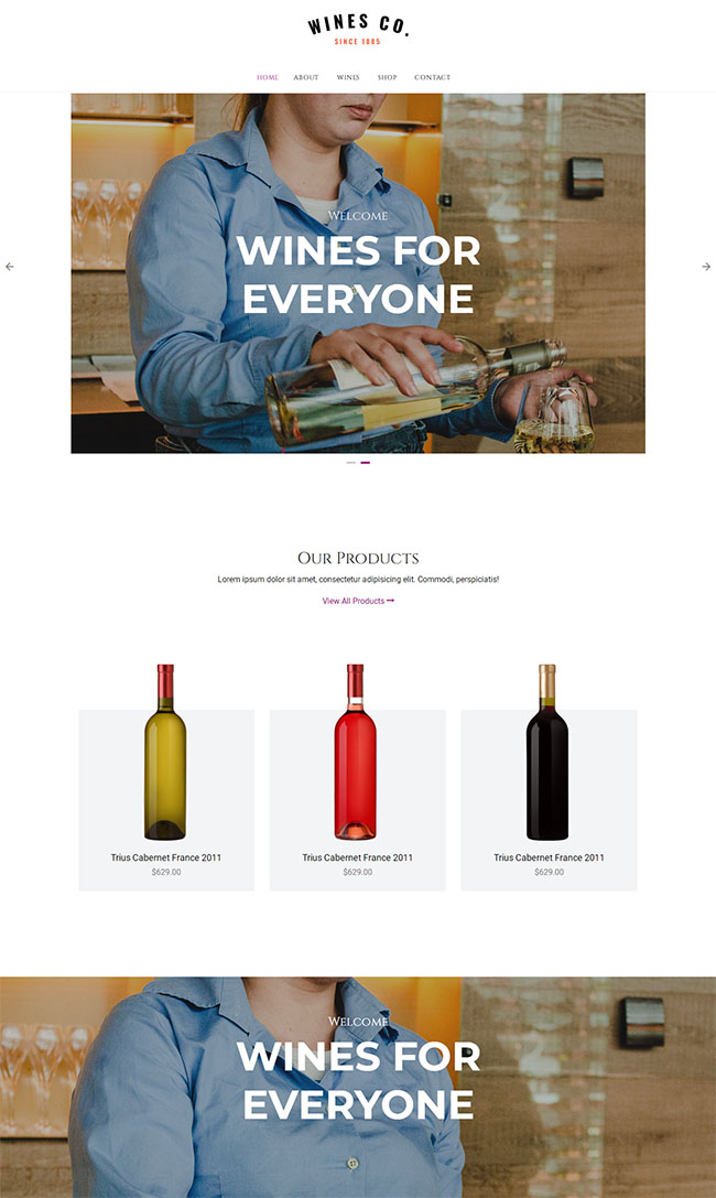 酒庄葡萄酒网上商城HTML5模板7975