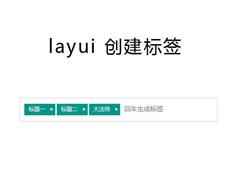 layui输入文本创建标签实例