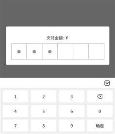 手机端弹窗输入支付密码特效