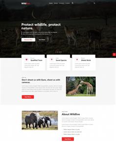 保护动物新闻资讯分享宣传HTML5网站模板