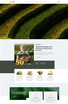 农场宣传HTML5网站模板