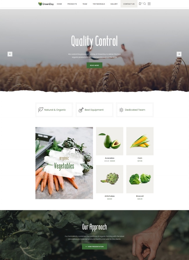蔬菜和食物等在线销售宣传服务网站模板8407